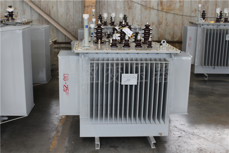 南昌S20-800kVA/10kV/0.4kV变压器